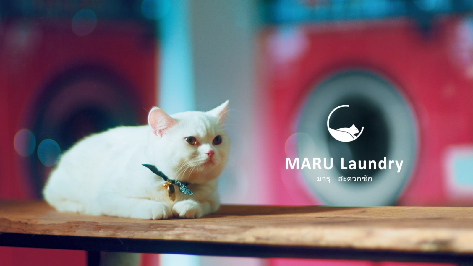 ยินดีต้อนรับเข้าชมวีดีโอแบรนด์ MARU Laundry